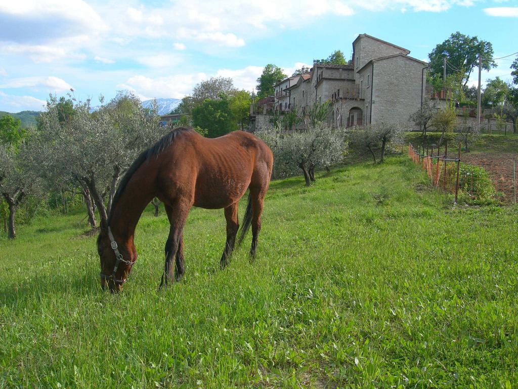 Вилла Agriturismo Borgo San Martino Abbateggio Экстерьер фото